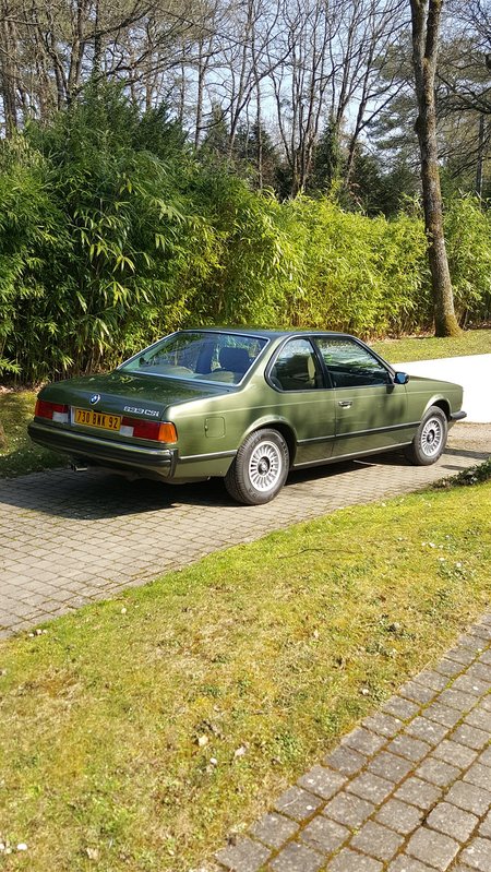 50 Nuances de vert.jpg