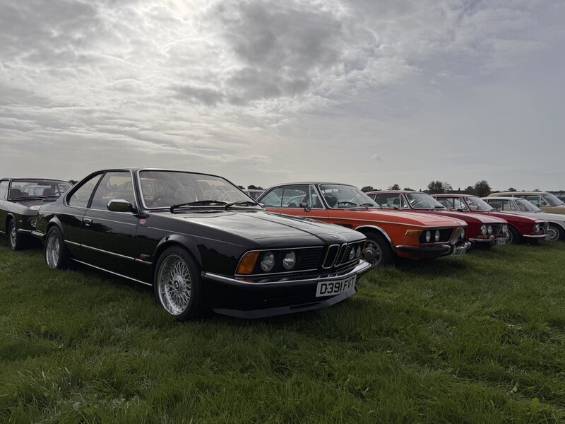 DEC238CF-8F0F-4D73-883A-F4BCC5E278CC Large.jpeg