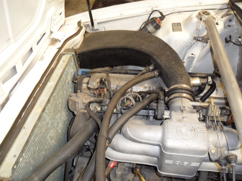 635 wassermann (5).JPG