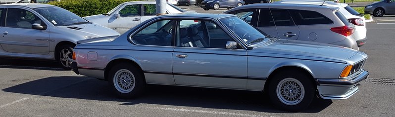 Side View.jpg