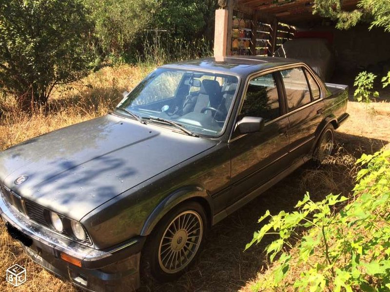 ALPINAE30 2907216 B.jpg