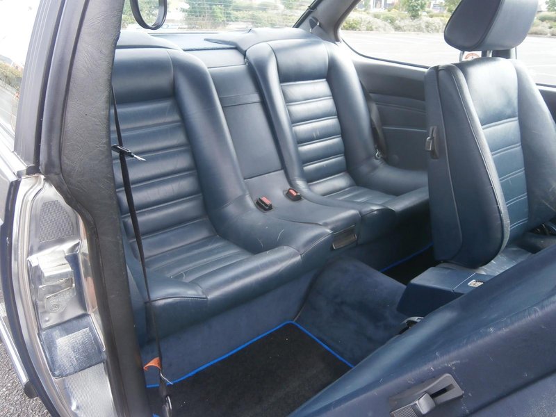 s-l1600G.jpg
