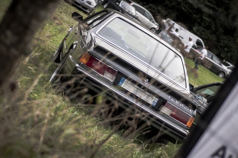 DSC_0238 (Copier).jpg