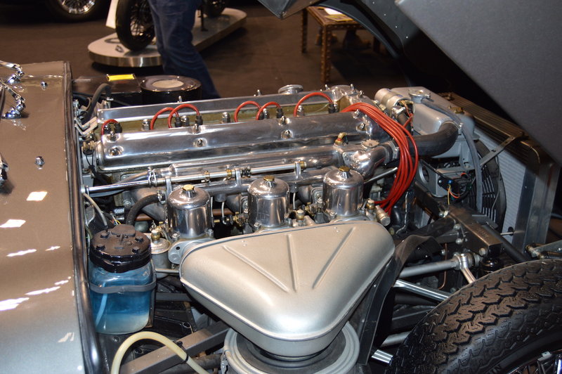 DSC_0046.jpg