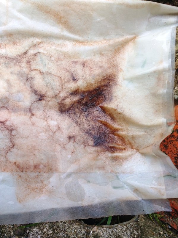 Corrosion dans le filtre.jpg