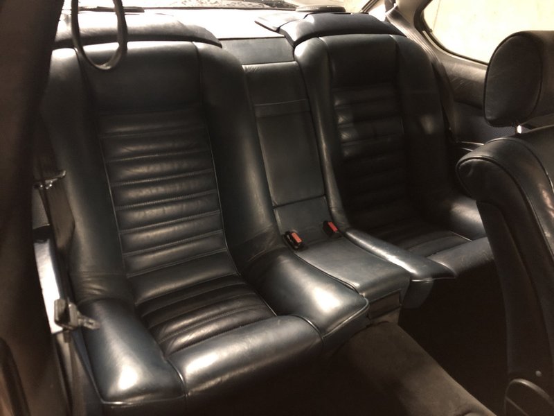 Backseat.JPG