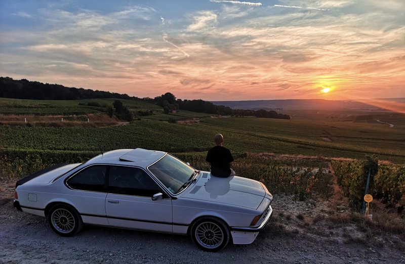 Vignes Verzenay - V2.jpg