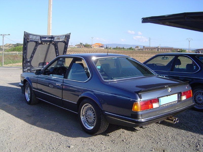 DSC09384 (Moyen).jpeg