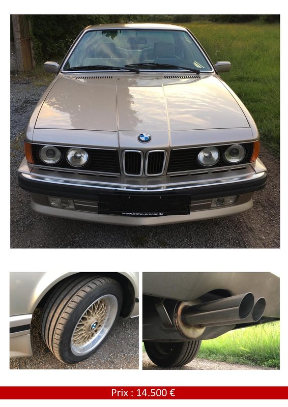 BMW L6 à VENDRE-page-003.jpg