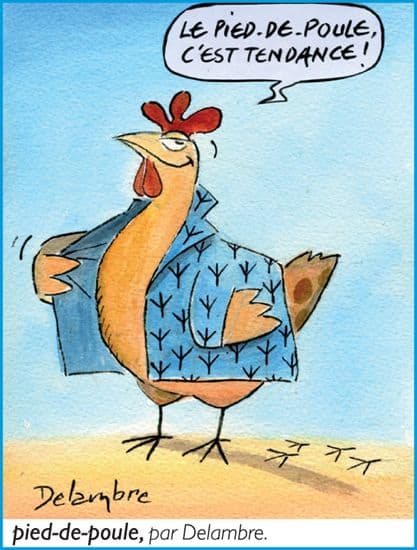 1309956-Pied-de-poulePied-de-poule_par_Delambre.jpg